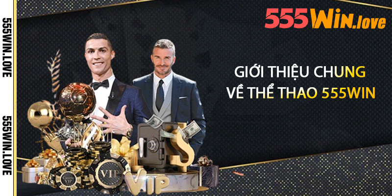 Giới thiệu chung về thể thao 555win